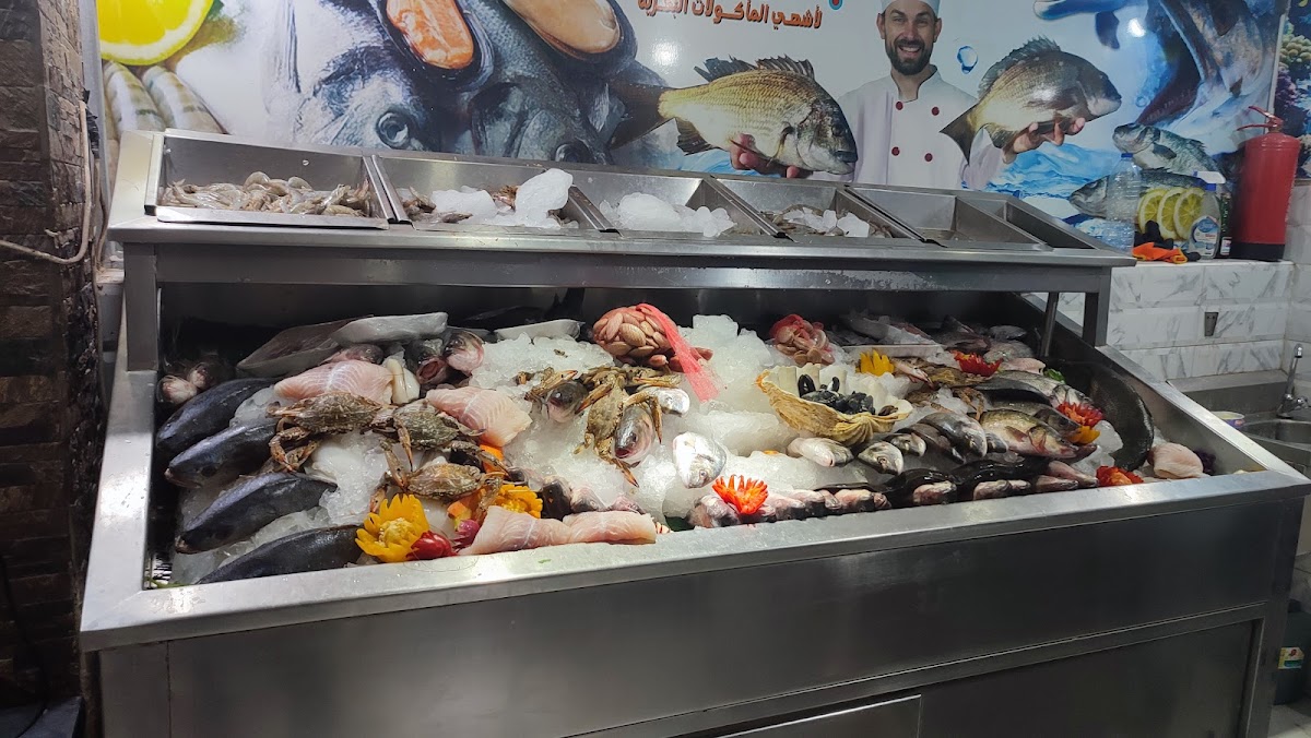 Gandofli, Cairo