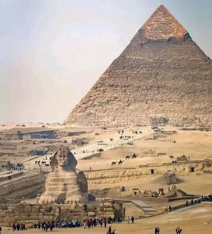 Step Pyramid of Djoser (Saqqara archaeological area), Cairo